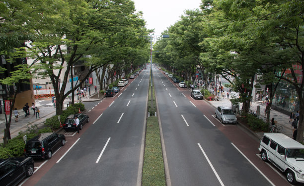 Omotesando街图片下载