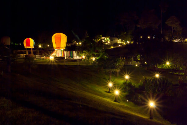 夜花园。图片下载