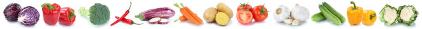 蔬菜，胡萝卜，西红柿，新鲜甜椒，孤立排成一行图片下载