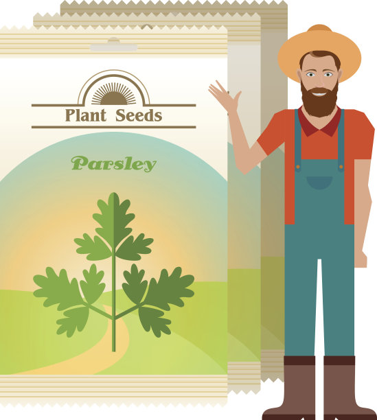 包装欧芹种子图标图片下载