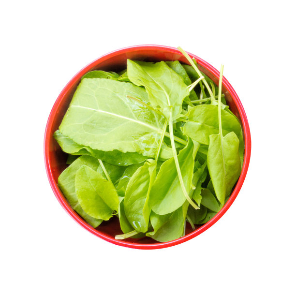 鲜嫩的酸模叶在红色的碗孤立在白色的背景，俯视图特写图片下载