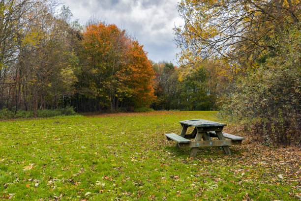 秋天公园里的长椅图片下载