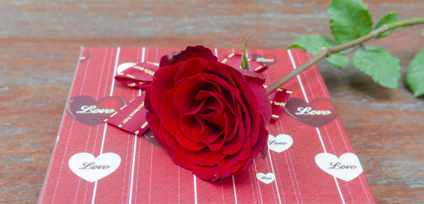 玫瑰花和情人节礼物的照片。图片下载