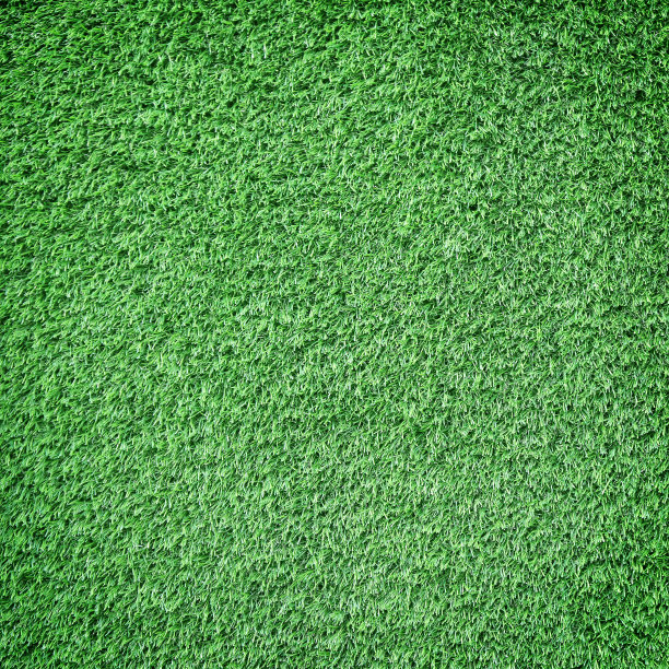 人工草地的背景图片下载