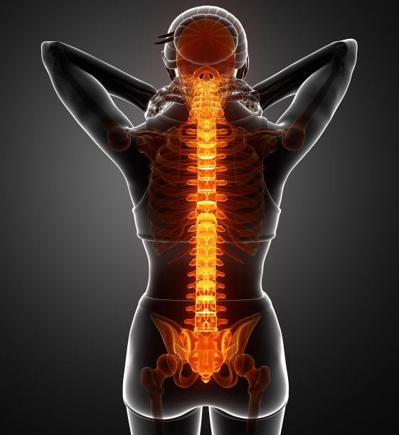 女性感到背部疼痛图片下载