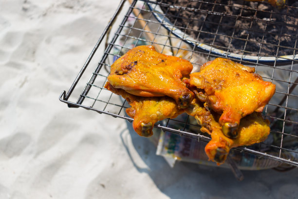 以海滩为背景的烤鸡图片下载