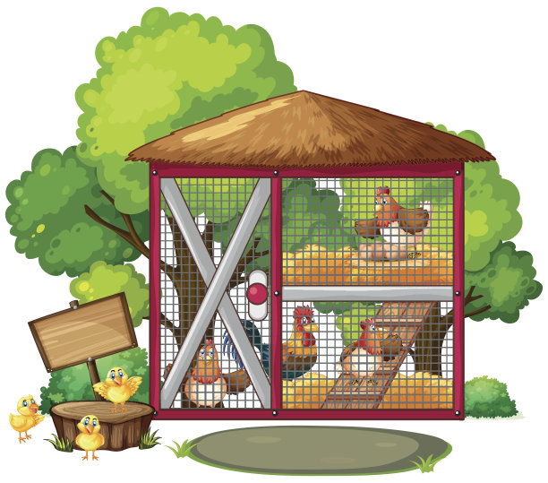 大鸡笼里的鸡图片下载