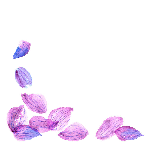 水彩手画蓝色和粉红色的花瓣孤立在白色的背景图片下载