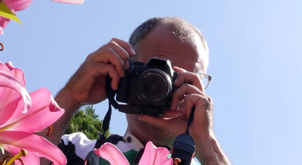 人拍摄百合图片下载