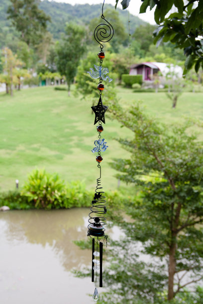 明星迹象黑图片下载