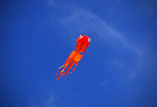 橙色的风筝图片下载