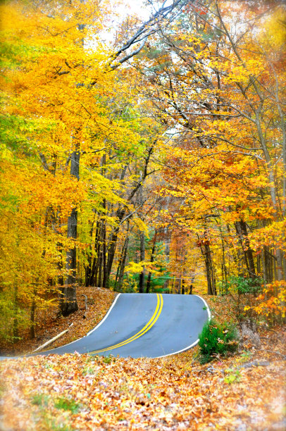 秋天在维吉尼亚州图片下载
