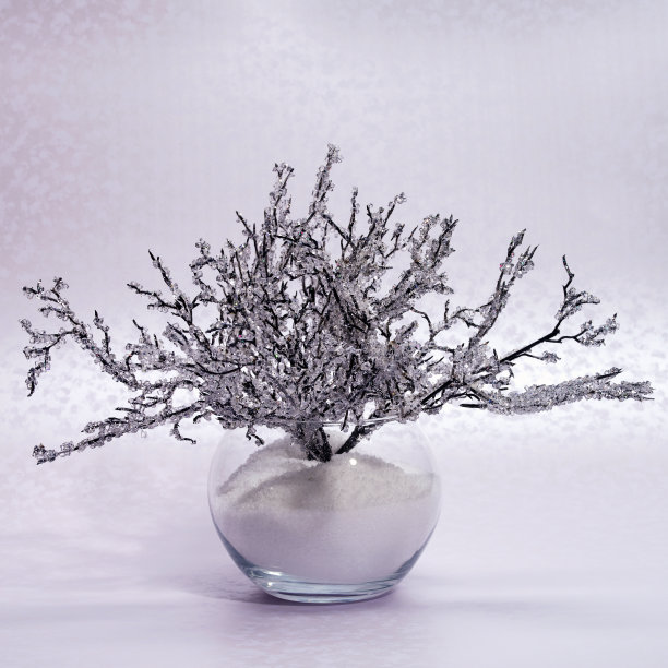 冬天用树枝在白霜中的构图图片下载