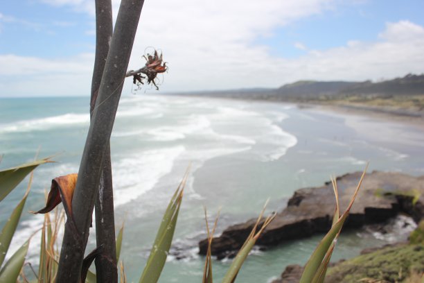 皮哈海滩图片下载