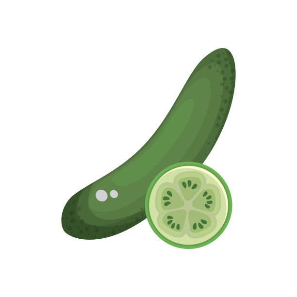 新鲜黄瓜及切片器官食品图片下载