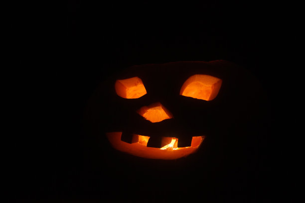 万圣节的南瓜图片下载