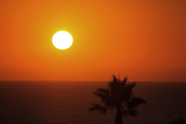 橙色的日落图片下载