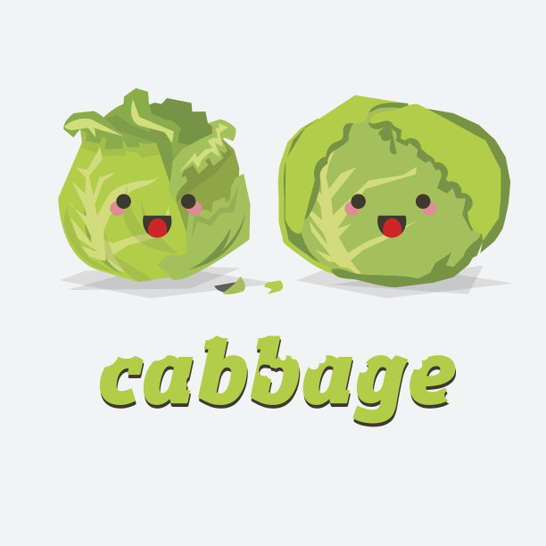 卷心菜。字符-矢量插图图片下载