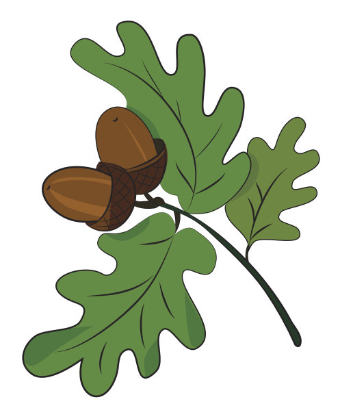 卡通形象的橡子图片下载