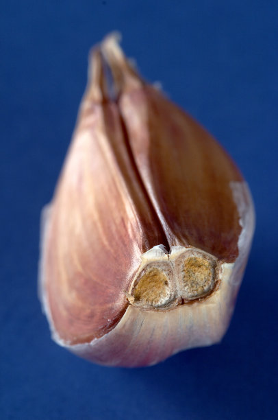 大蒜在温暖的背景图片下载