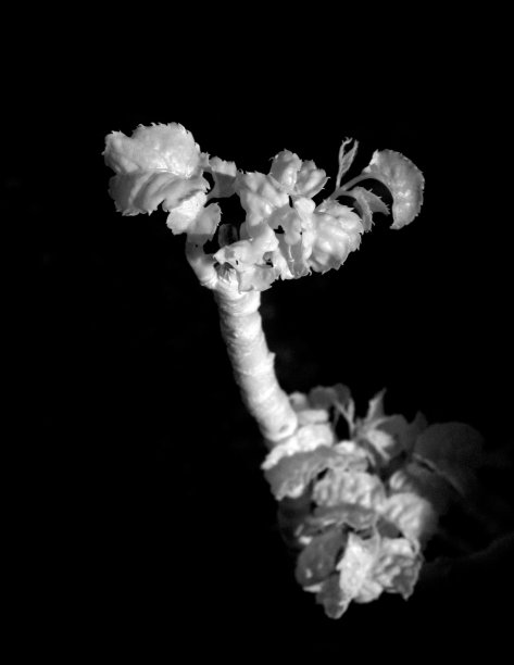 红外设备图片下载