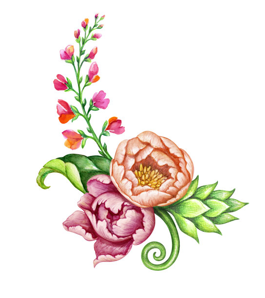 水彩圆束鲜花，夏季彩色花束插图，孤立在白色的背景图片下载