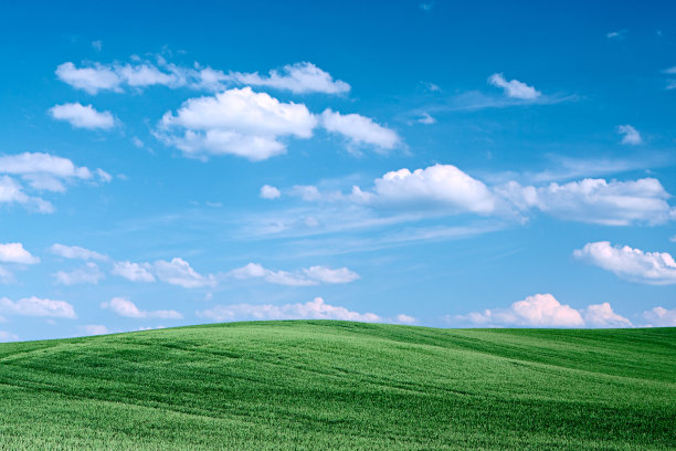 春天的风景图片下载