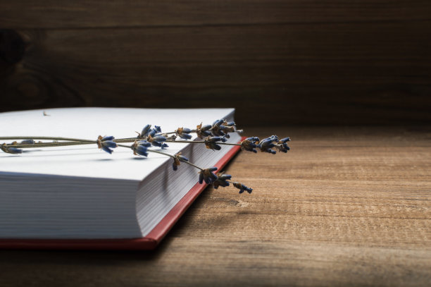 书的白色页上有薰衣草花图片下载