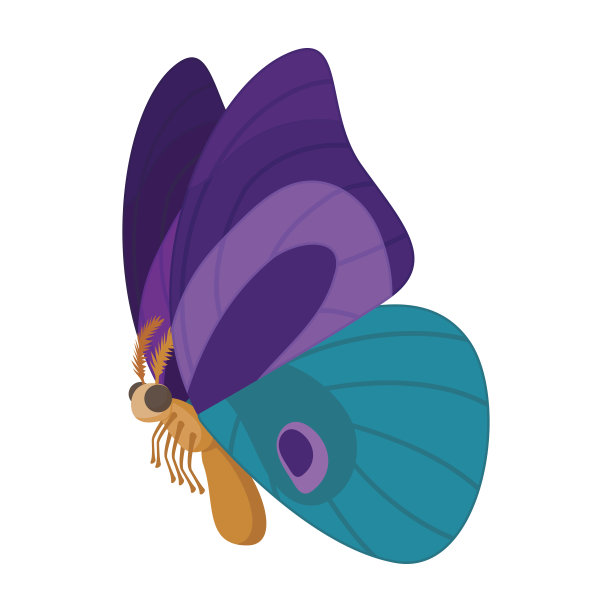 紫蓝色蝴蝶图标，卡通风格图片下载