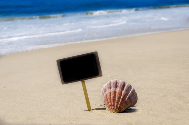 沙滩上的贝壳铭牌图片下载