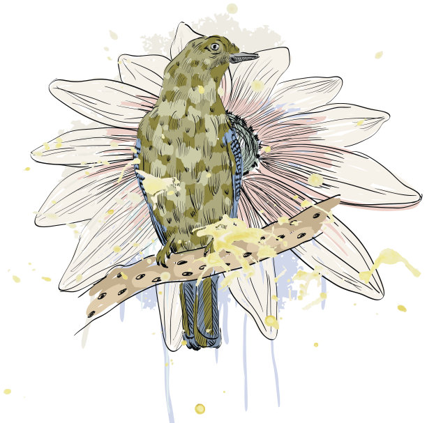 鸟和花图片下载