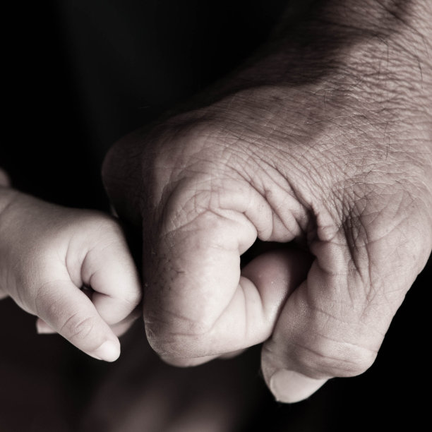 的拳头图片下载