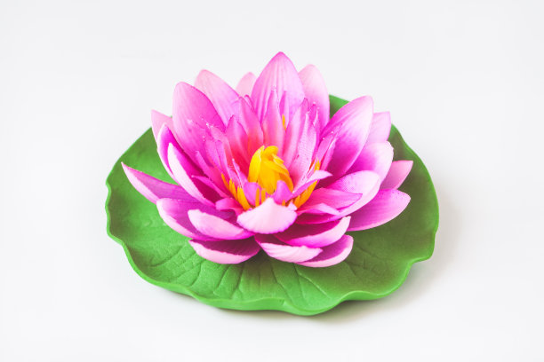 花白色背景图片下载