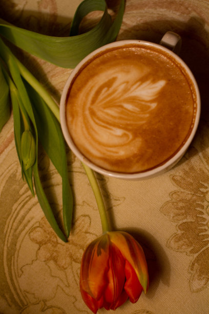 郁金香和卡布奇诺静物画图片下载