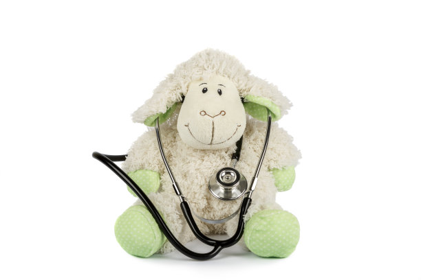 白色背景上带听诊器的玩具羊。图片下载