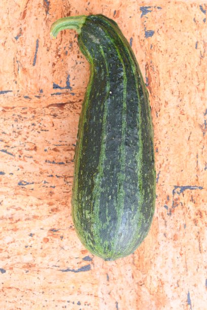 绿色南瓜图片下载