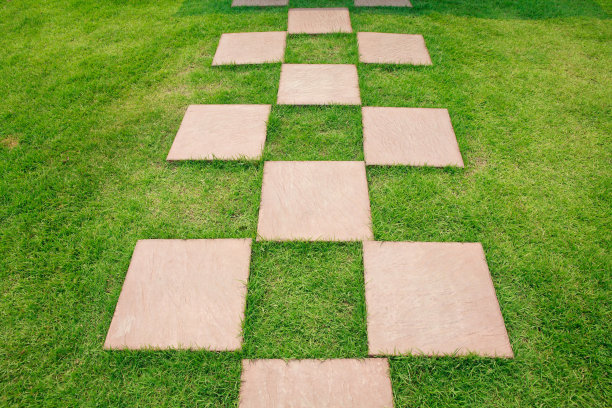 公园里的小路。图片下载