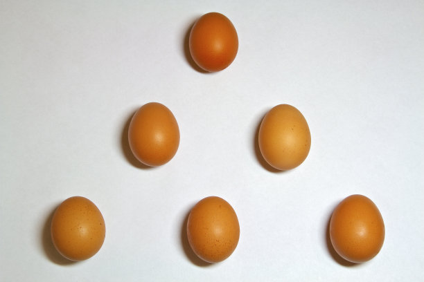 孤立的鸡蛋图片下载