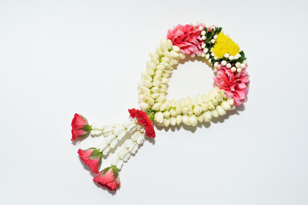 平马莱（茉莉花加兰）图片下载