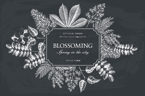 复古的花卉模板在黑板上图片下载