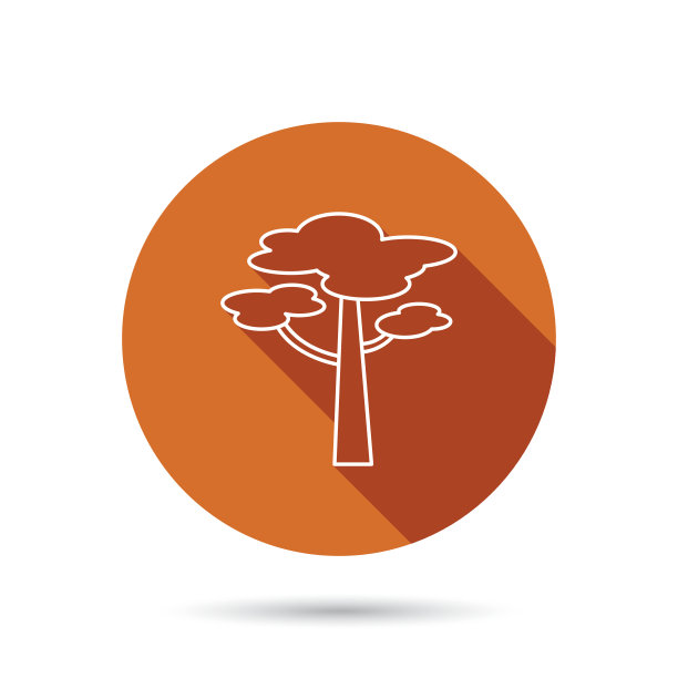 松树图标。森林木的迹象。图片下载