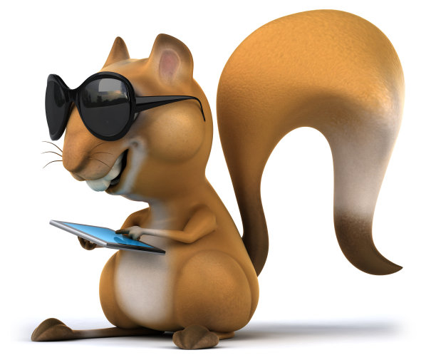 有趣的松鼠图片下载