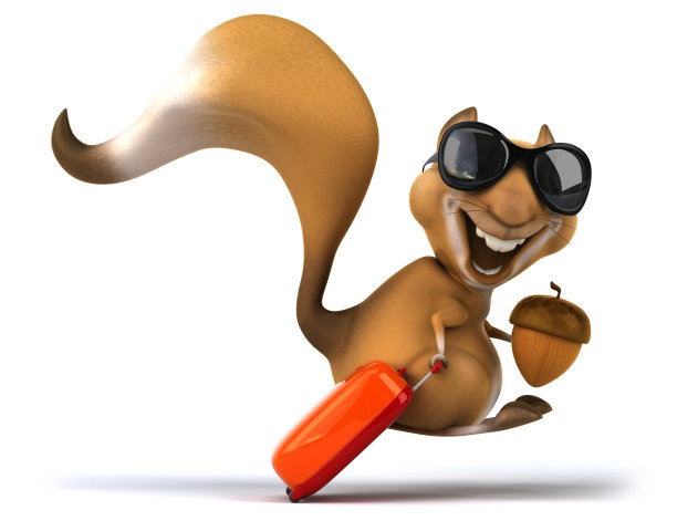 有趣的松鼠图片下载