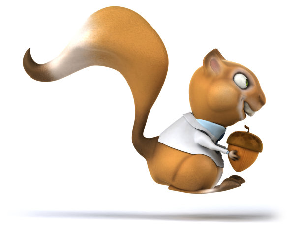有趣的松鼠图片下载