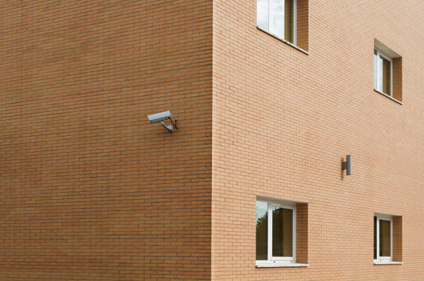 橘子Surveillance。图片下载