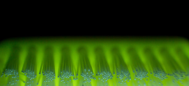 绿色牙刷宏图片下载