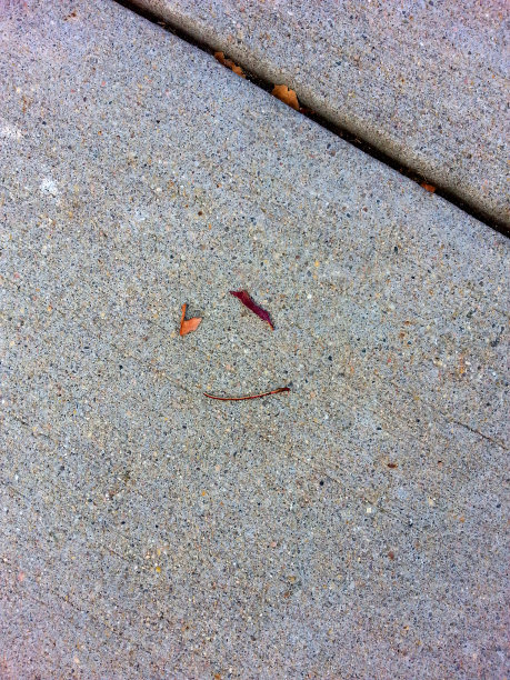 秋天的树叶和树枝快乐的脸#2图片下载