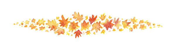 秋叶边境图片下载