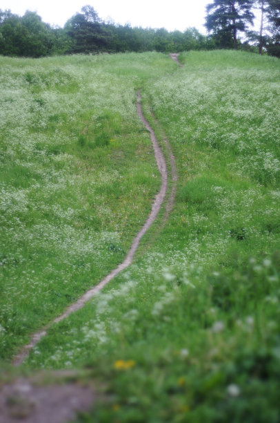 瑞典Medow路径图片下载