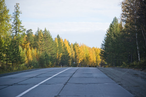 秋路图片下载